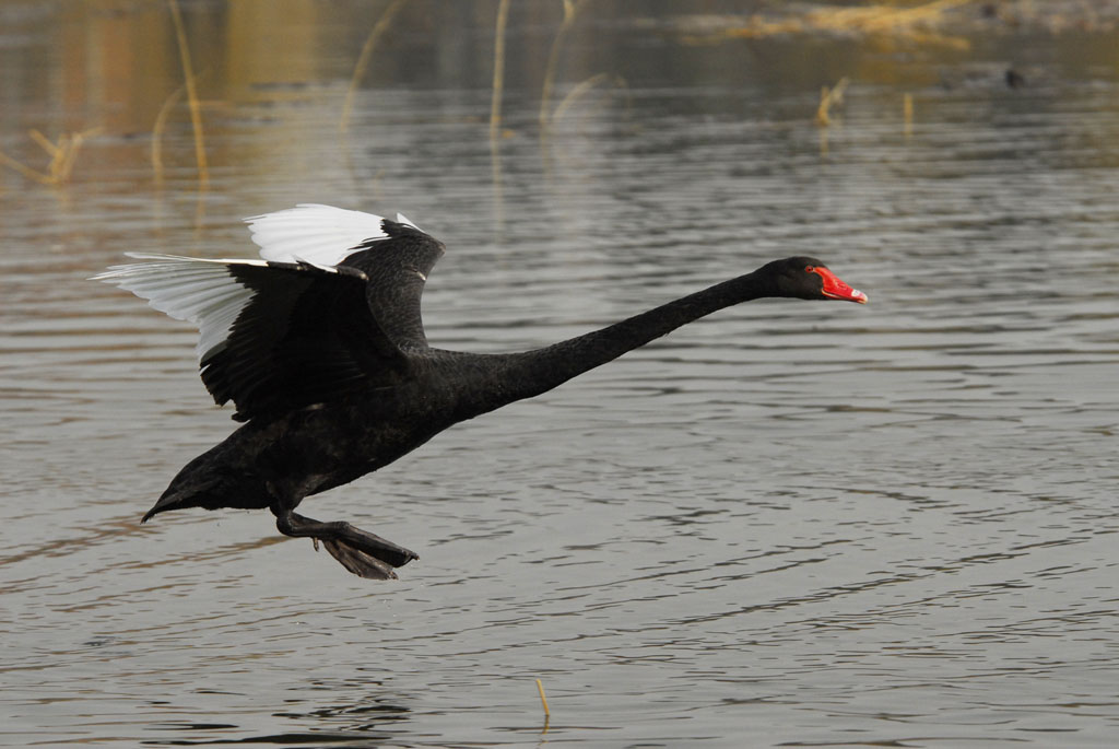 南宫国际(中国区)-官方网站