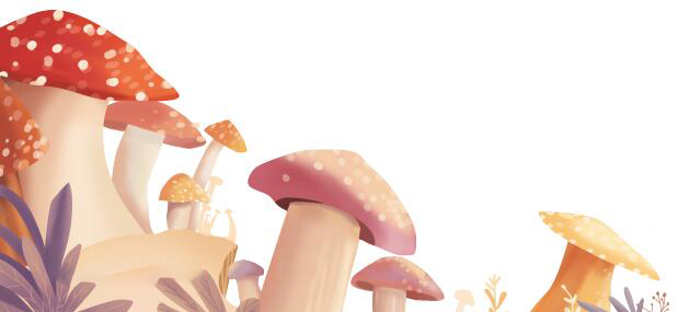 南宫国际(中国区)-官方网站