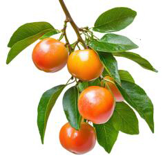 南宫国际(中国区)-官方网站