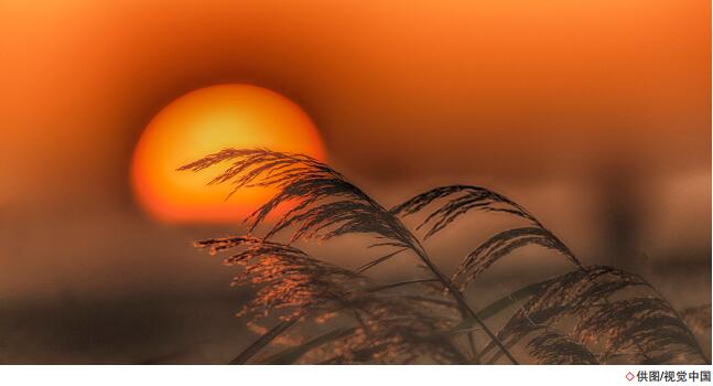 南宫国际(中国区)-官方网站