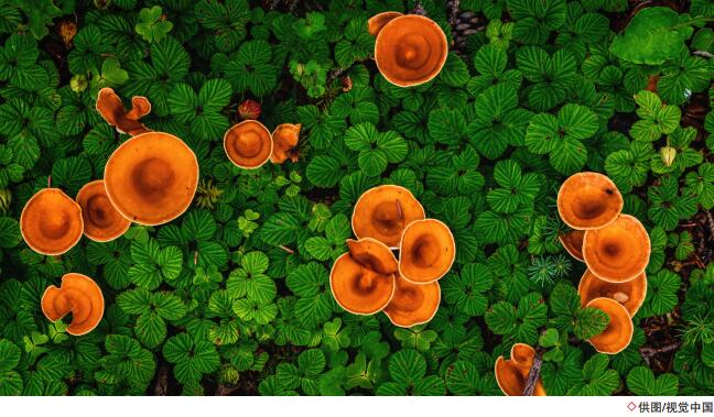 南宫国际(中国区)-官方网站