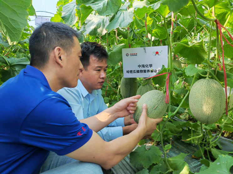 南宫国际(中国区)-官方网站