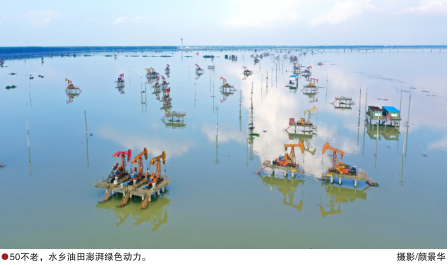 南宫国际(中国区)-官方网站