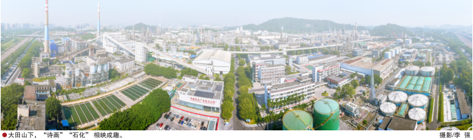 南宫国际(中国区)-官方网站
