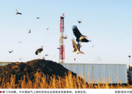 南宫国际(中国区)-官方网站