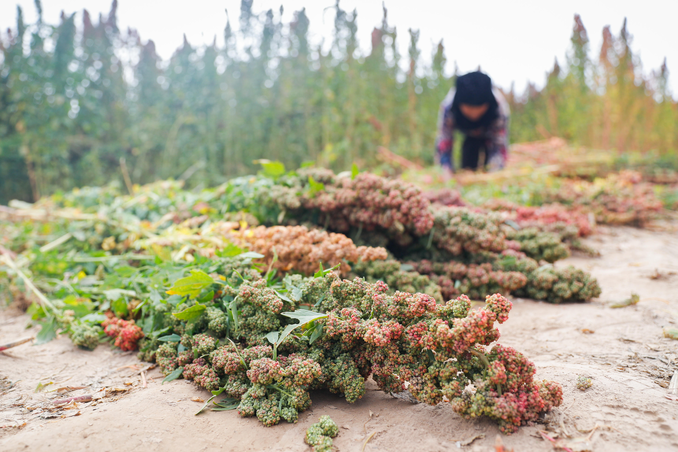 南宫国际(中国区)-官方网站