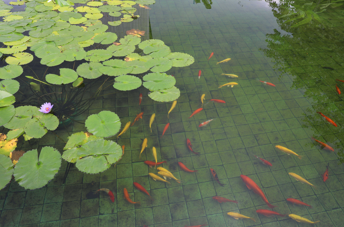 南宫国际(中国区)-官方网站