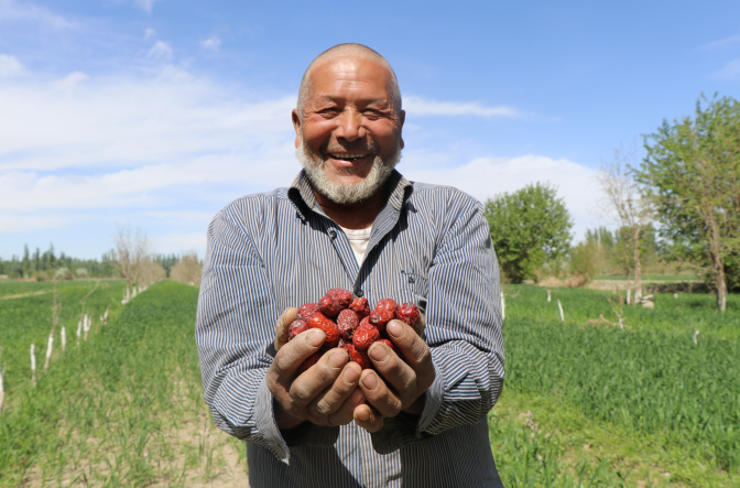 南宫国际(中国区)-官方网站