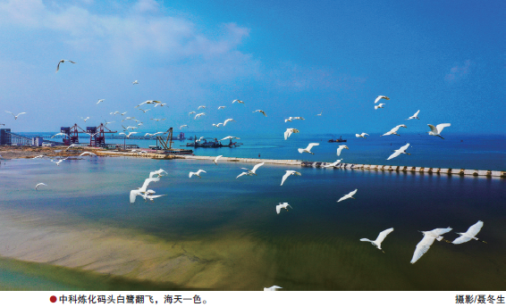 南宫国际(中国区)-官方网站