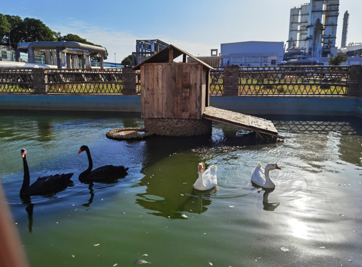 南宫国际(中国区)-官方网站