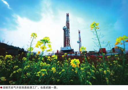 南宫国际(中国区)-官方网站