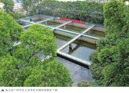 南宫国际(中国区)-官方网站