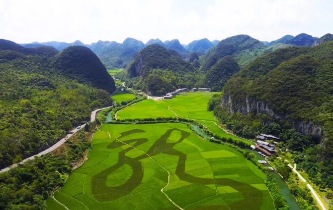 南宫国际(中国区)-官方网站