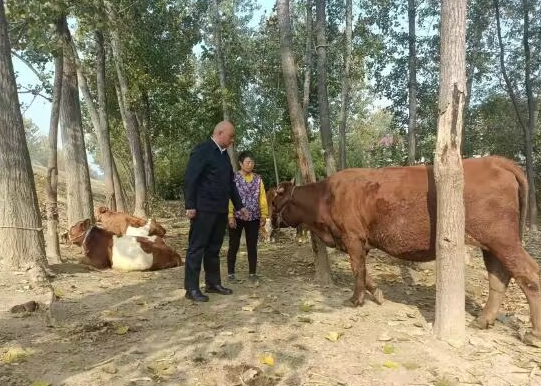 南宫国际(中国区)-官方网站