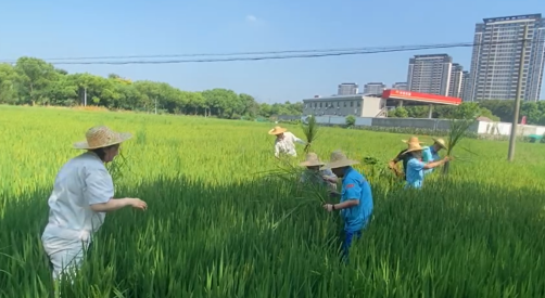 南宫国际(中国区)-官方网站