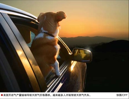 南宫国际(中国区)-官方网站