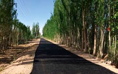 南宫国际(中国区)-官方网站