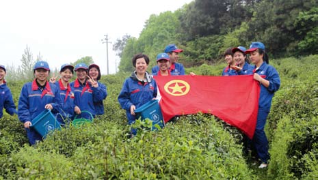 南宫国际(中国区)-官方网站