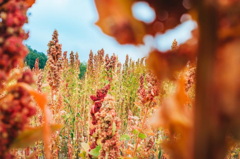 南宫国际(中国区)-官方网站