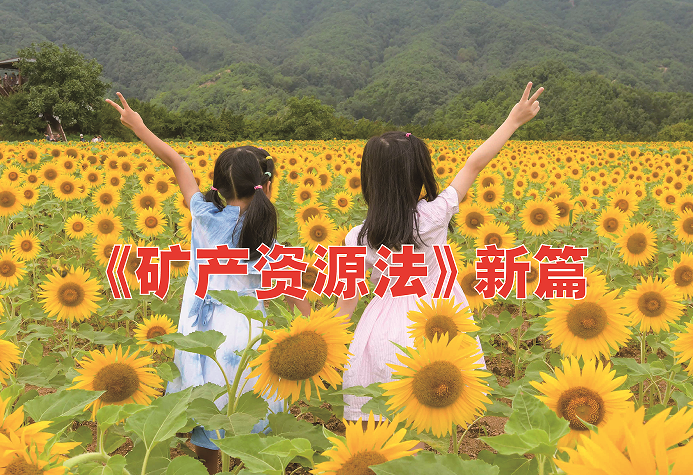 南宫国际